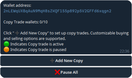 Pepeboost copy trade menu featuring an option to add new wallets for copying.