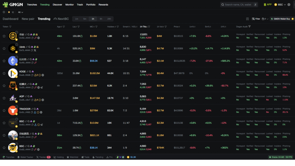 Trending BNB meme coins on GMGN analytics dashboard